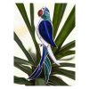BROCHE PAPAGAYO