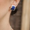 PENDIENTES CLEO